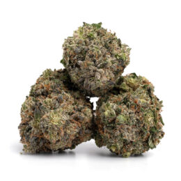 Alternative view of Alien OG