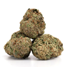 Alternative view of Banana Mac