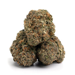 Alternative view of Black Cherry Soda