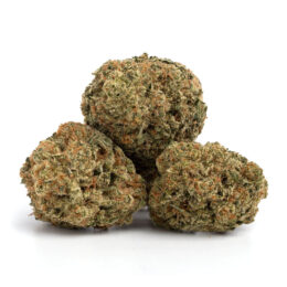 Alternative view of Blueberry Pie