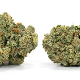 Alternative view of China White